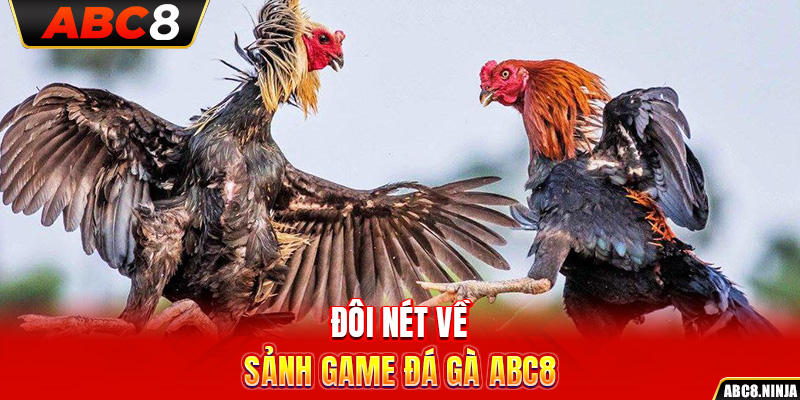 Đôi nét về sảnh game Đá gà ABC8